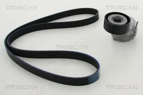 Handler.Part V-ribbed belt set TRISCAN 864210015 1