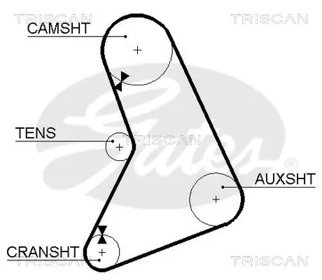 Handler.Part Timing belt TRISCAN 86455068 2