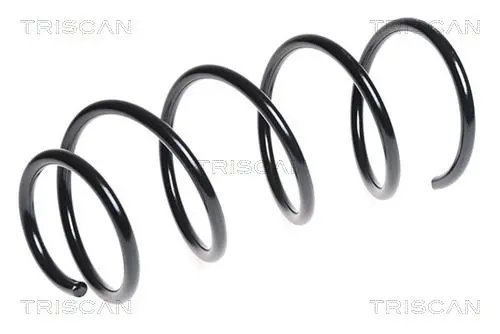 Handler.Part Coil spring TRISCAN 875011111 1