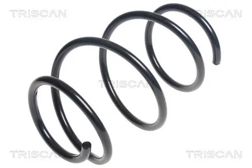 Handler.Part Coil spring TRISCAN 875011165 1