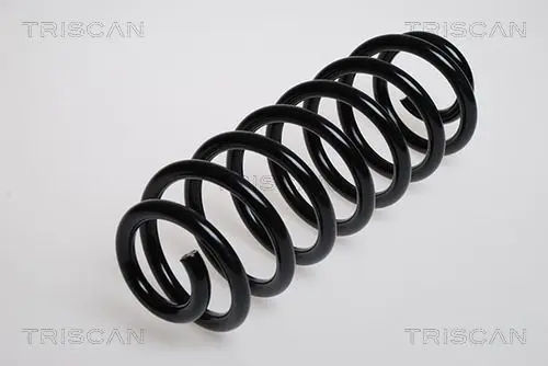 Handler.Part Coil spring TRISCAN 87501135 1