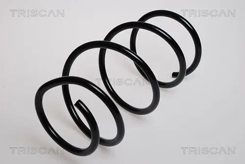 Handler.Part Coil spring TRISCAN 87501138 1