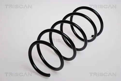 Handler.Part Coil spring TRISCAN 87501169 1