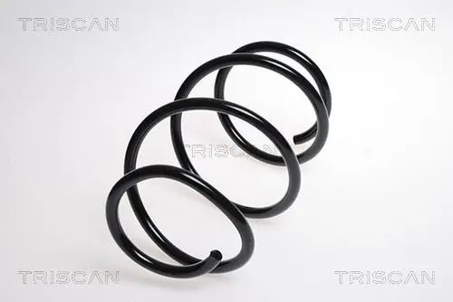 Handler.Part Coil spring TRISCAN 87501193 1