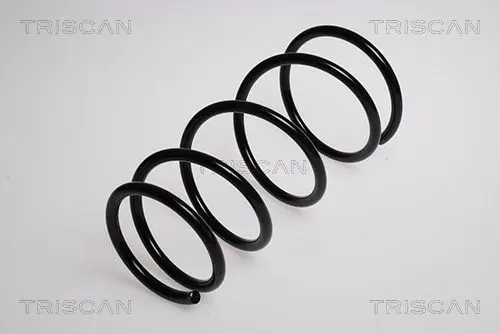 Handler.Part Coil spring TRISCAN 875013101 1