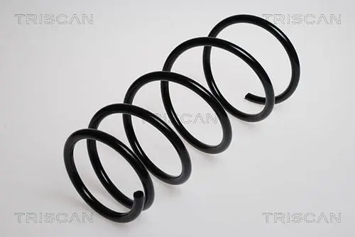 Handler.Part Coil spring TRISCAN 875013103 1