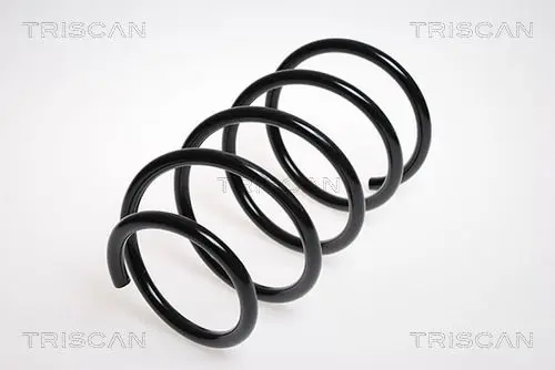 Handler.Part Coil spring TRISCAN 875013119 1