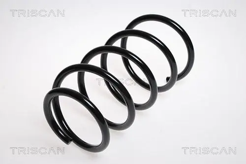 Handler.Part Coil spring TRISCAN 875013123 1