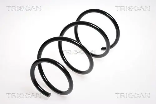 Handler.Part Coil spring TRISCAN 875013125 1