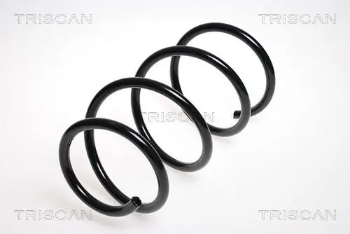 Handler.Part Coil spring TRISCAN 875013126 1