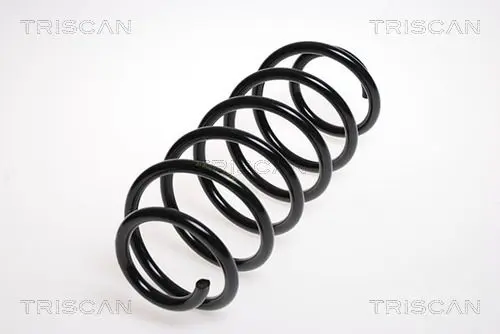 Handler.Part Coil spring TRISCAN 875013130 1