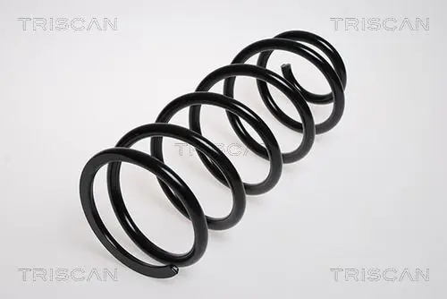 Handler.Part Coil spring TRISCAN 875013137 1