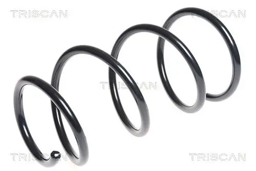 Handler.Part Coil spring TRISCAN 875013175 1