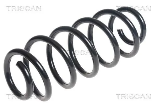 Handler.Part Coil spring TRISCAN 875013197 1