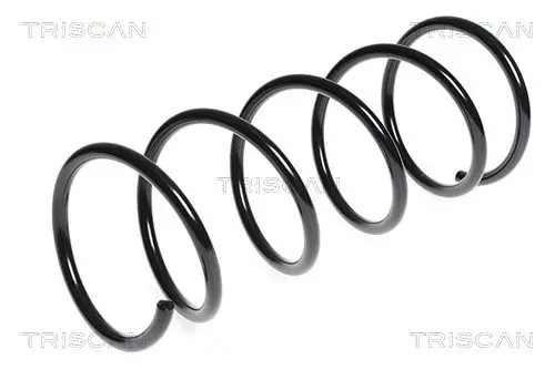 Handler.Part Coil spring TRISCAN 875013203 1