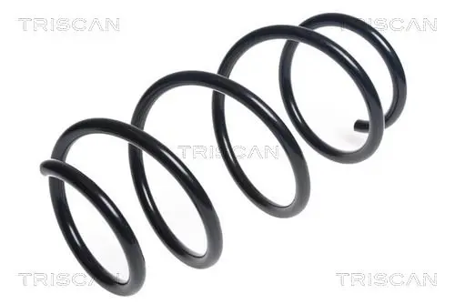 Handler.Part Coil spring TRISCAN 875013211 1