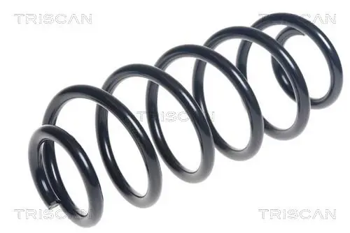 Handler.Part Coil spring TRISCAN 875013212 1