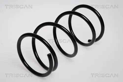 Handler.Part Coil spring TRISCAN 87501352 1