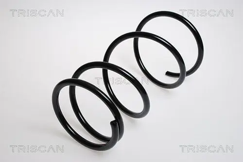 Handler.Part Coil spring TRISCAN 87501374 1