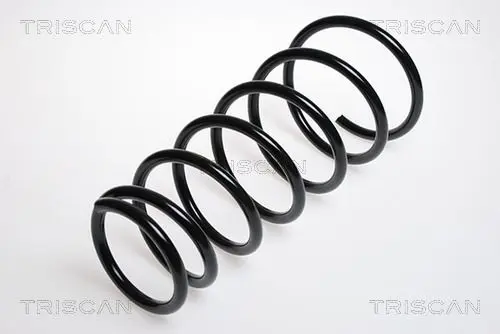 Handler.Part Coil spring TRISCAN 87501384 1