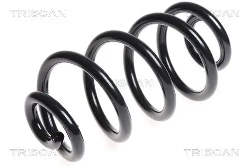 Handler.Part Coil spring TRISCAN 875014104 1