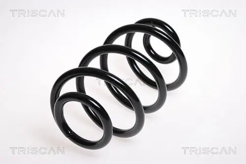 Handler.Part Coil spring TRISCAN 87501457 1