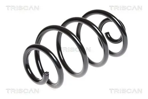 Handler.Part Coil spring TRISCAN 87501480 1