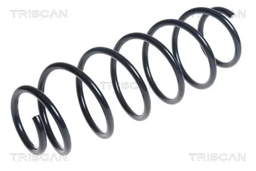 Handler.Part Coil spring TRISCAN 875015190 1