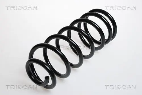 Handler.Part Coil spring TRISCAN 87501544 1