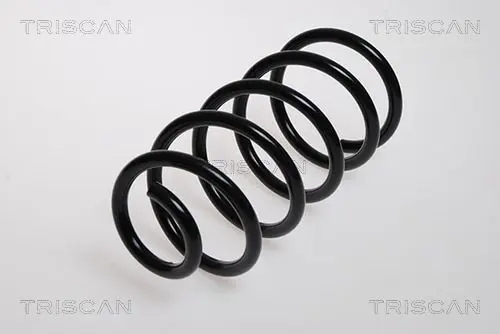 Handler.Part Coil spring TRISCAN 87501581 1