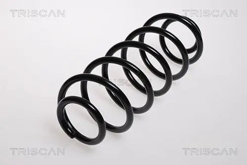 Handler.Part Coil spring TRISCAN 87501594 1