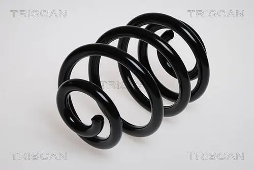 Handler.Part Coil spring TRISCAN 875016004 1