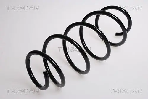 Handler.Part Coil spring TRISCAN 875016008 1