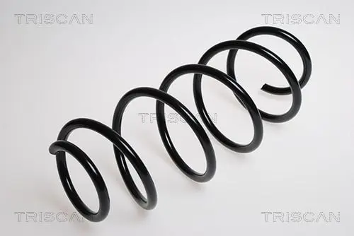 Handler.Part Coil spring TRISCAN 875016010 1