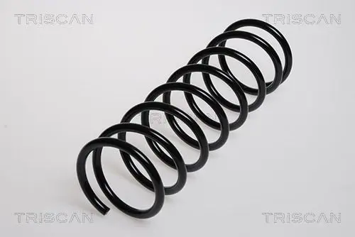 Handler.Part Coil spring TRISCAN 875016019 1