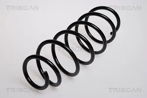 Handler.Part Coil spring TRISCAN 875016024 1