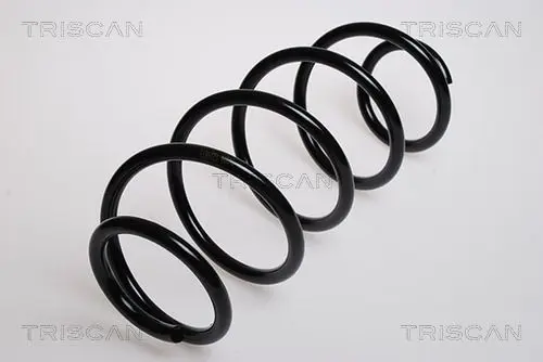 Handler.Part Coil spring TRISCAN 875016025 1