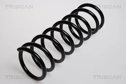 Handler.Part Coil spring TRISCAN 875016026 1