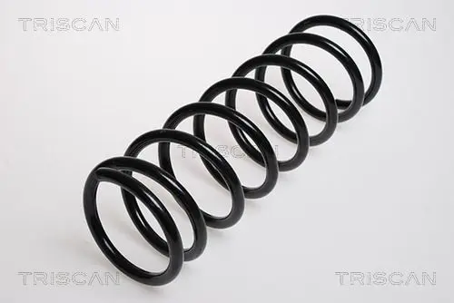 Handler.Part Coil spring TRISCAN 875016028 1