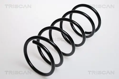 Handler.Part Coil spring TRISCAN 875016029 1