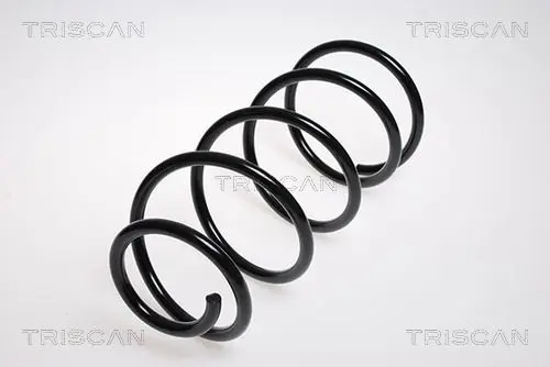 Handler.Part Coil spring TRISCAN 875016041 1