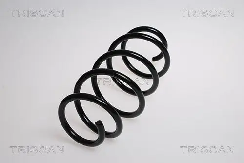 Handler.Part Coil spring TRISCAN 875016049 1