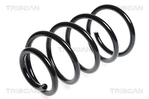 Handler.Part Coil spring TRISCAN 875016070 1