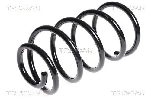 Handler.Part Coil spring TRISCAN 875016071 1