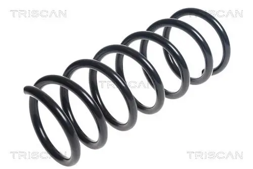 Handler.Part Coil spring TRISCAN 875016106 1