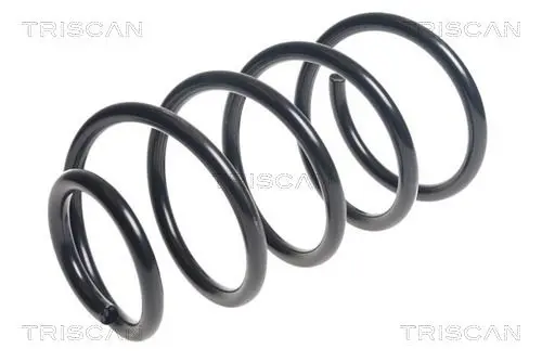 Handler.Part Coil spring TRISCAN 875016107 1