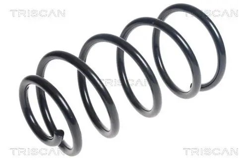 Handler.Part Coil spring TRISCAN 875016108 1