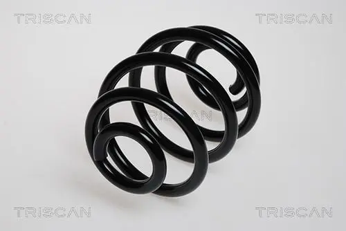 Handler.Part Coil spring TRISCAN 87501676 1