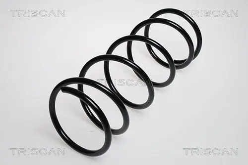 Handler.Part Coil spring TRISCAN 87501689 1