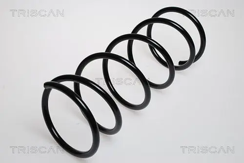 Handler.Part Coil spring TRISCAN 87501690 1